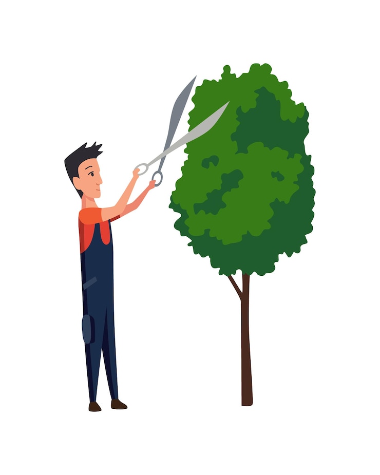 Vector professional gardener pruning tree with pruners or garden shears man working with shrubs in backyard colored flat vector illustration of worker in uniform isolated on white background