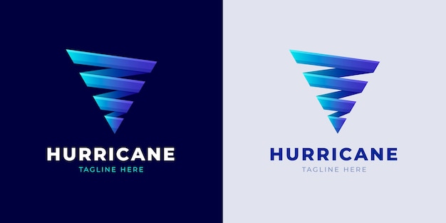 Vector professional hurricane logo template