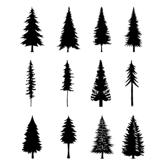 professional pine trees silhouette vectors