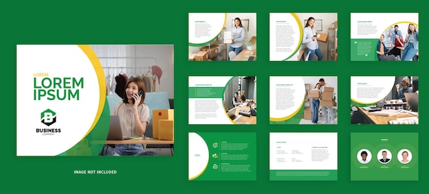 Professional presentation annual report