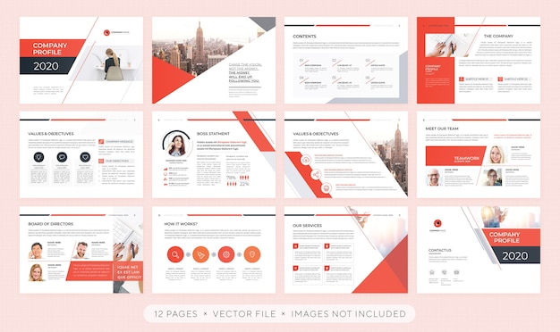 Vector professional presentation or corporate brochure template