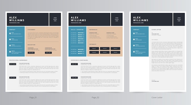 Professional Resume or CV and Cover Letter Template