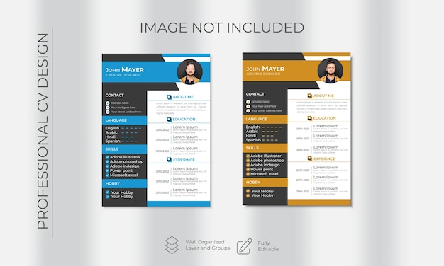 Professional Resume CV curriculum vitae Template For interview