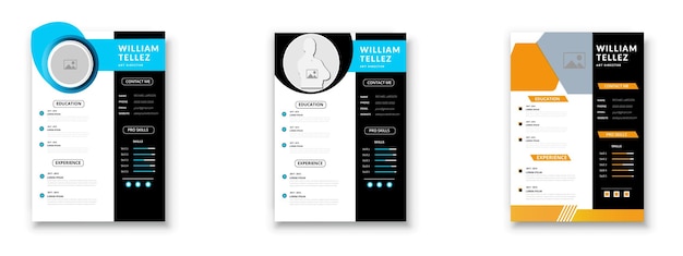 Professional Resume CV Template Layout design