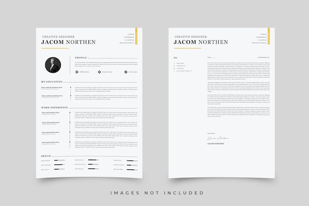 Vector professional resume template