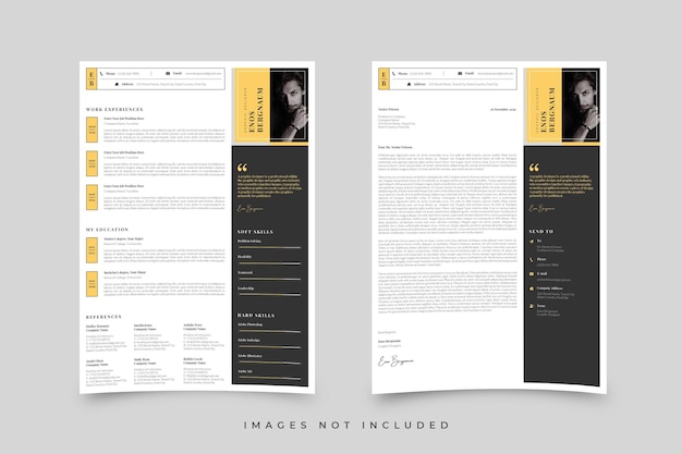 Vector professional resume template