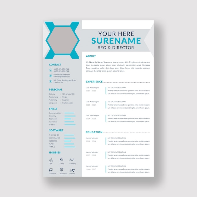 Professional Resume Template