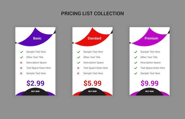 professional and simple pricing table web template design