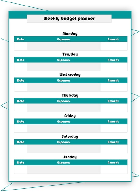 전문 주간 예산 플래너 템플릿