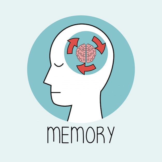 Profile human head brain memory