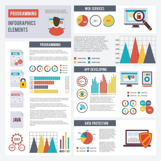 Programmeur Infographics Set