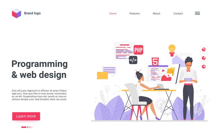 Vector programming web design landing page programmer developers work create modern program