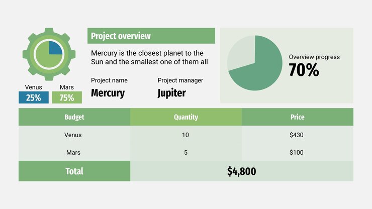 Vector project charter infographics