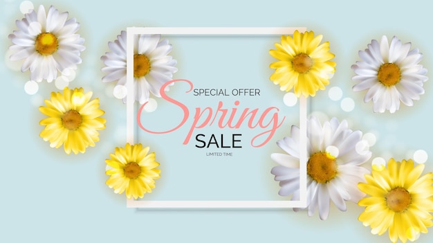 Vector promotion offer, spring sale season with chamomille flowers