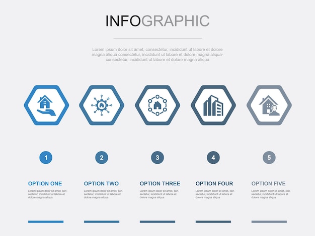 Icone di proprietà modello di progettazione infografica concetto creativo con 5 opzioni