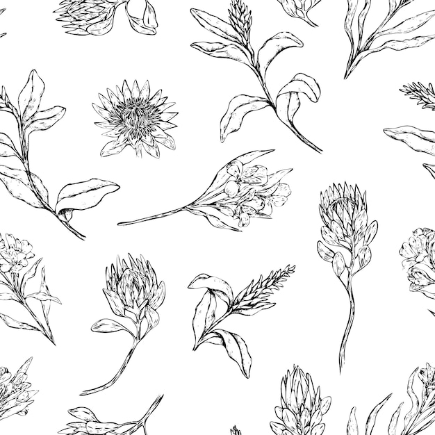 Protea, alstroemeria, ginger flowers seamless pattern. Exotic plants ornament. Tropical design for print, background, textile, wrap, wallpaper.