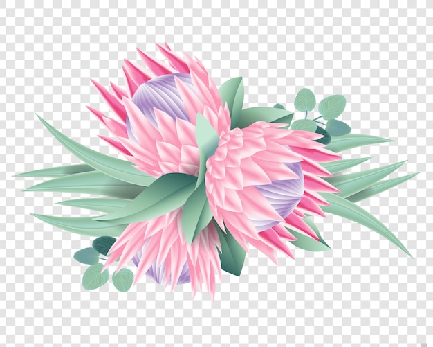 Protea bloemen vector