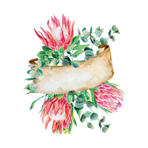 Protea watercolor eucalyptus twigs banner for text pink flowers Cards invitations banners flyers