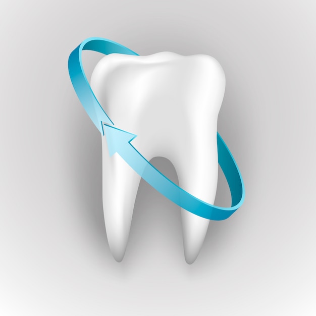 人間の歯の保護