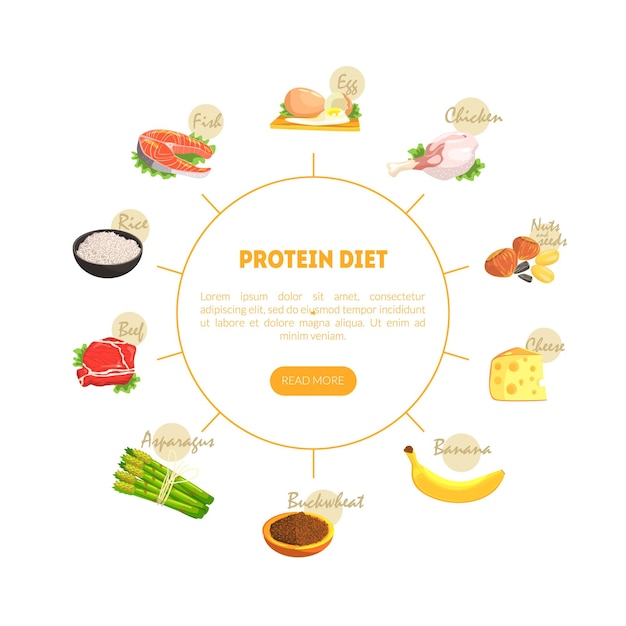 Vettore diagramma di dieta proteica nutrizione e prodotti salutari per cucinare e mangiare illustrazione vettoriale