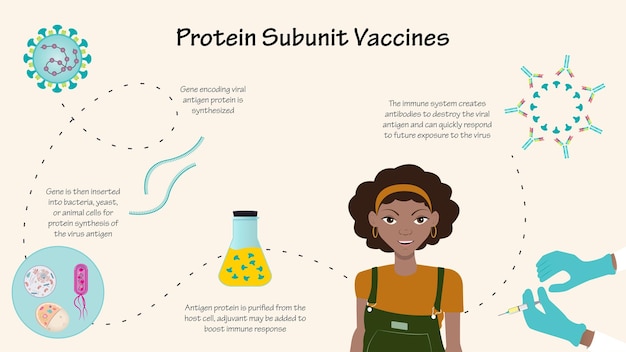 Vector protein subunit vaccine infographic