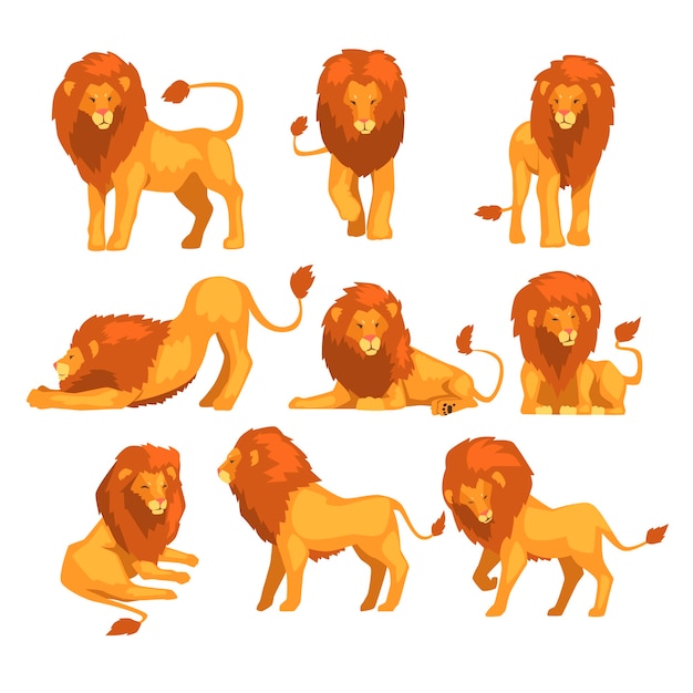 Proud powerful lion character in different actions set of cartoon Illustrations