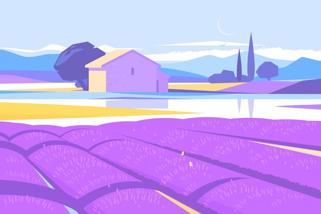 Provençaals landschap met lavendelveld
