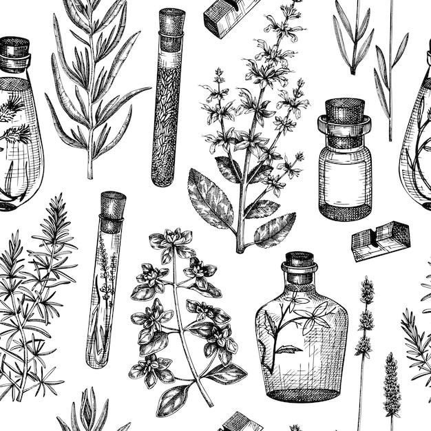 Vector provence herbs background in vintage style handsketched aromatic and medicinal plants design