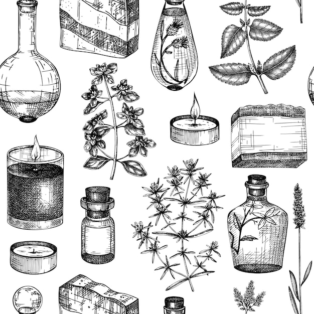 Vector provence seamless pattern handsketched aromatic and medicinal plants background