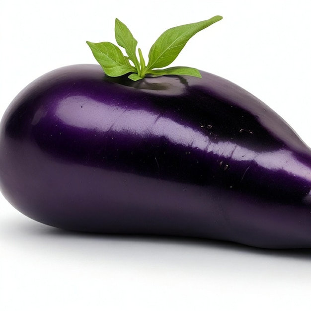 Vettore icona psd eggplant su sfondo bianco