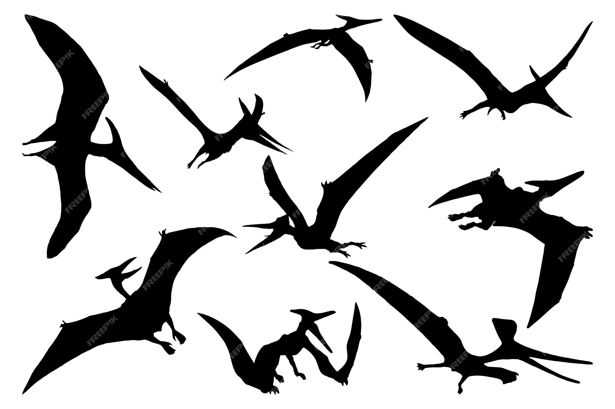 Pterodactyl Silhouette Clip Art