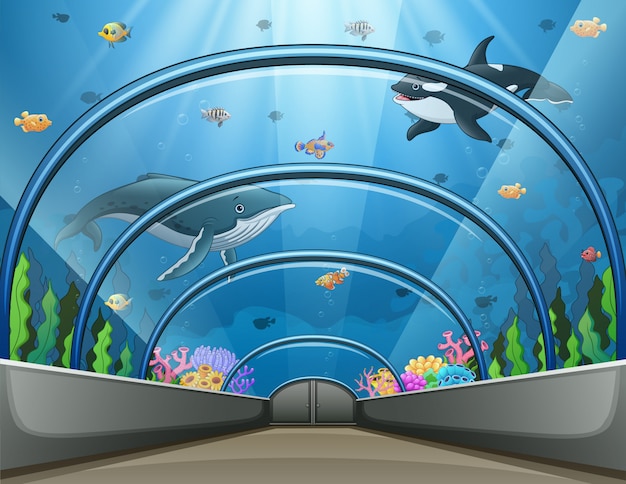 Vector public aquarium with fish and coral reef illustration