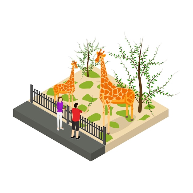 Vector public zoo concept 3d isometric view giraffe at zoological garden vector illustration