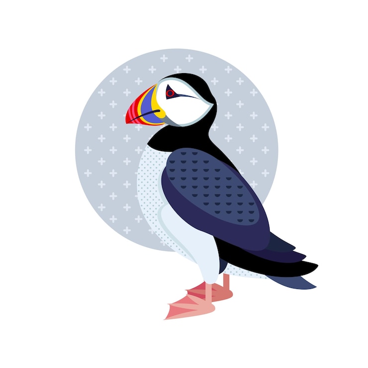 Vector puffin bird on white background vector icon decorative illustration