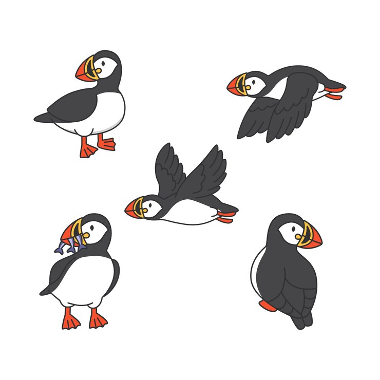 Vector puffin vector set cute cartoon puffin illustration