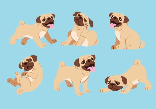 Pug dog cartoon set