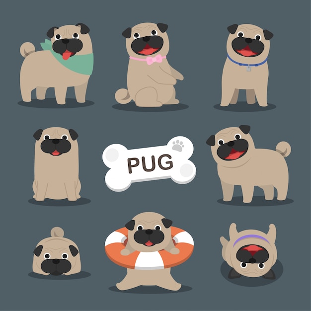 Vettore collezione di cani pug