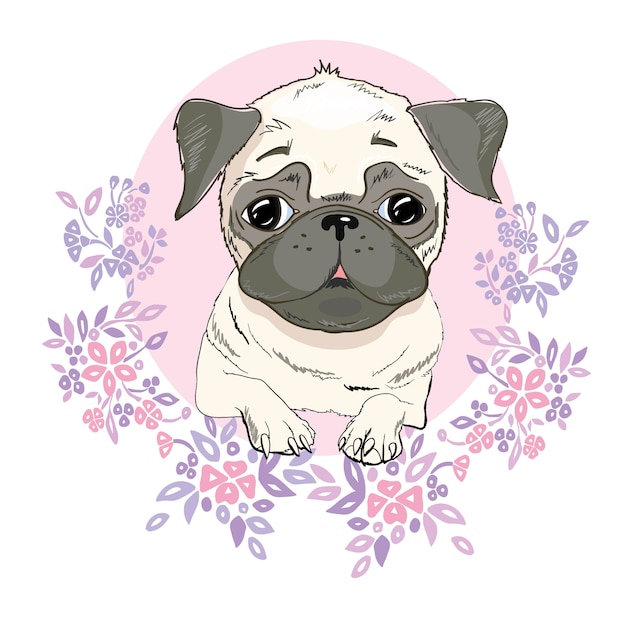 Pug hondgezicht - vectorillustratie geïsoleerd