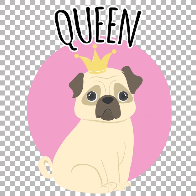 Pug koningin