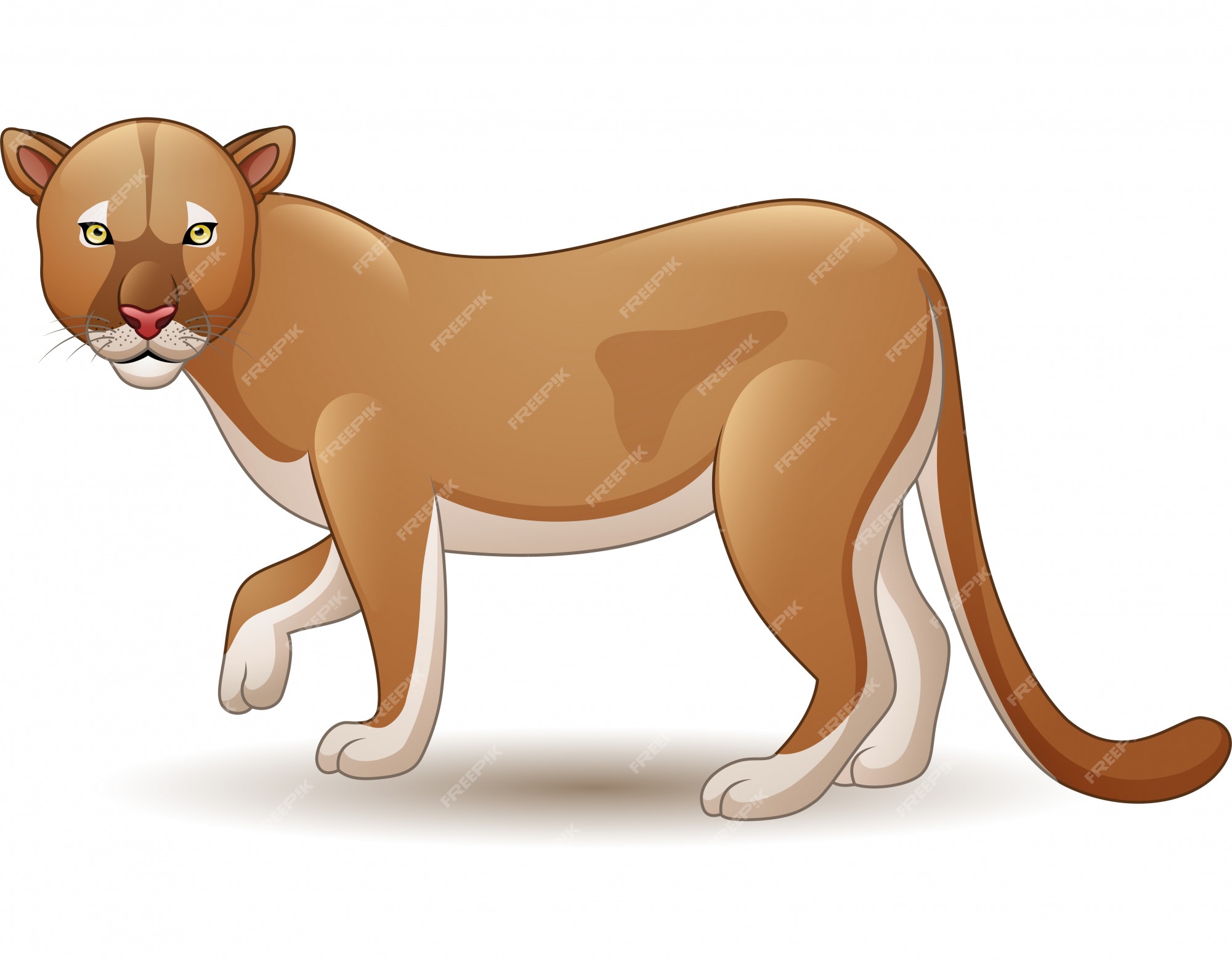 Premium Vector | Puma isolated on white background Premium Vector | Puma isolated on white background