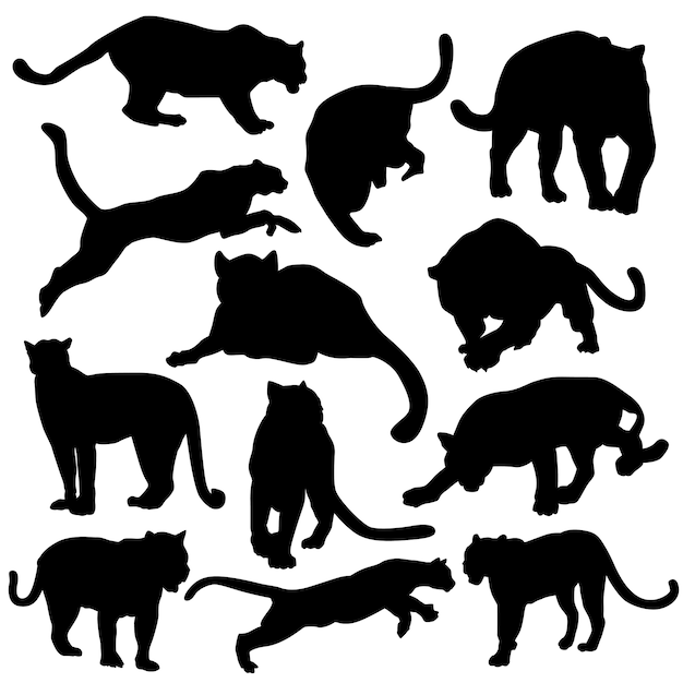 Puma panther animal silhouette vector