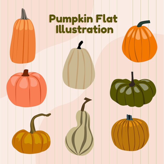 Pumkin set flat illustration vector