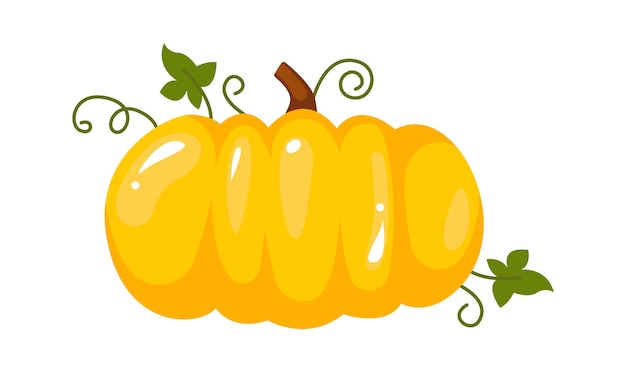 Pumpkin Autumn Plant Vector illustration