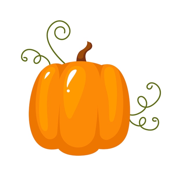 Pumpkin Autumn Plant Vector illustration