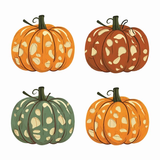 pumpkin on awhite background vector illustration