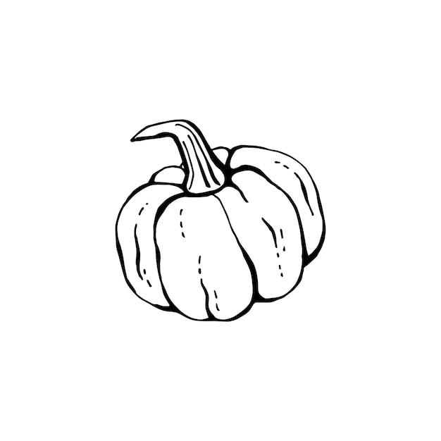 Pumpkin black and white sketch isolated on white background