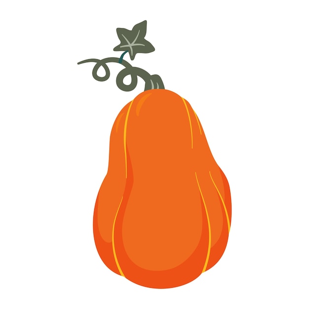 Pumpkin cartoon vector illustration Thanksgiving harvest and Halloween element isolated on white