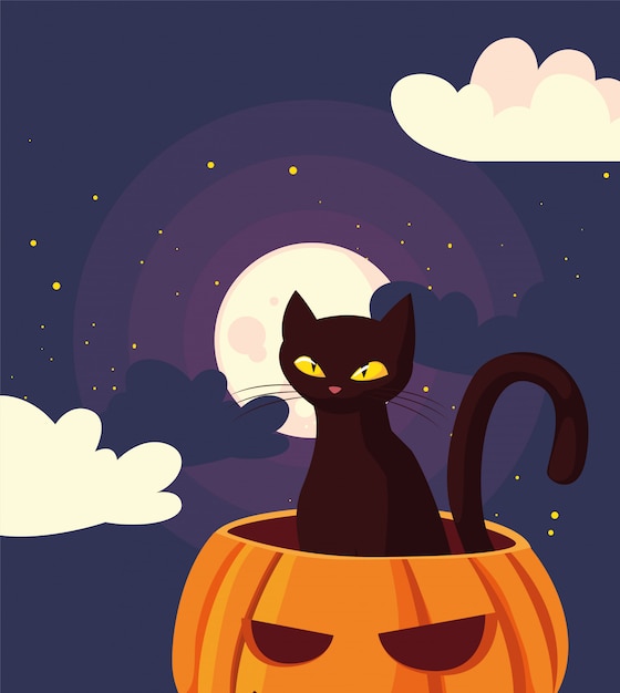 Pumpkin cat happy halloween celebration