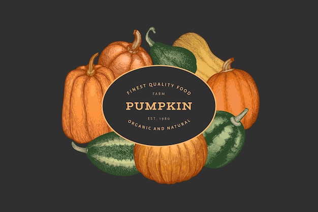 Pumpkin color design template. Vector hand drawn illustrations. Thanksgiving backdrop in retro style with pumpkin harvest. Autumn background.