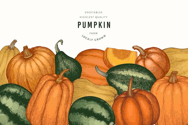 Pumpkin color hand drawn illustrations. thanksgiving backdrop in retro style with pumpkin harvest. autumn background.